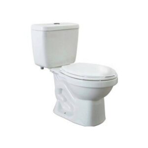 Inodoro Ecoline